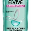 HAIR CARE & STYLING OAP Oily Roots/Dry Ends | Extraordinary Clay Shampoo